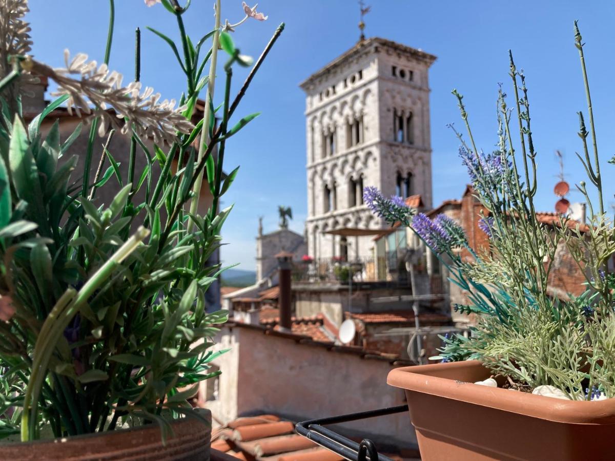 Apartament Terrazza San Michele - Affitti Brevi Italia Lukka Zewnętrze zdjęcie